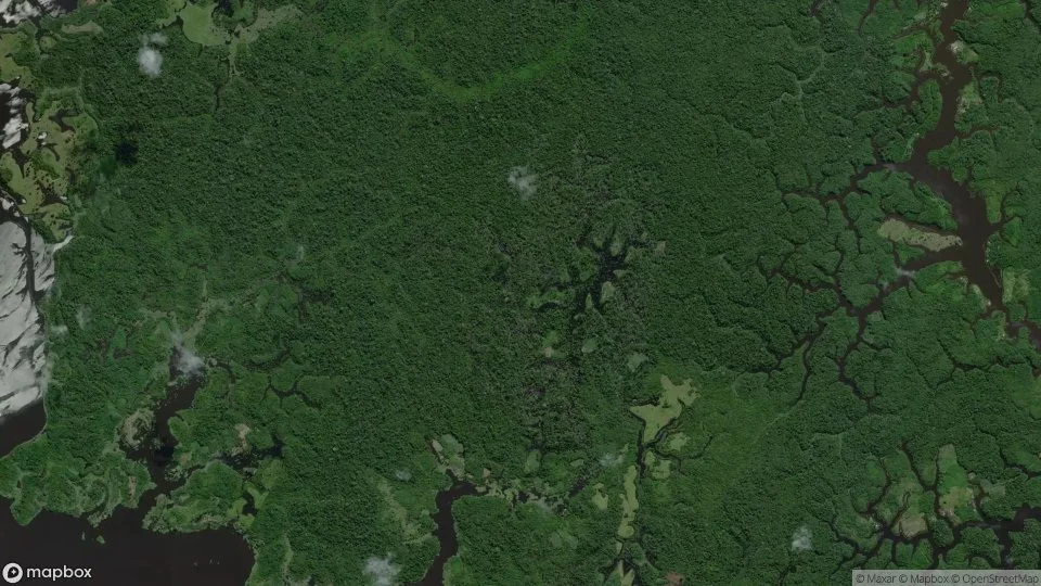 Imagem aérea de careiro