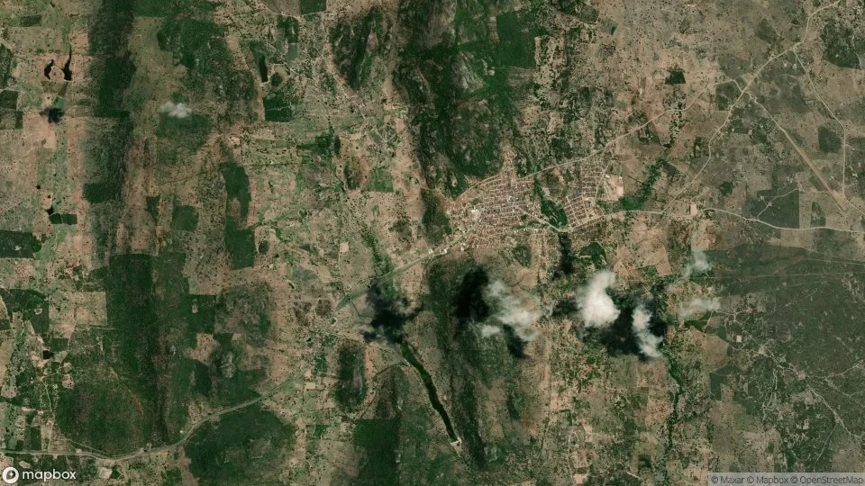 Imagem aérea de andorinha