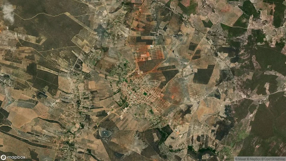 Imagem aérea de cordeiros