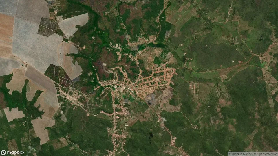 Imagem aérea de buriti