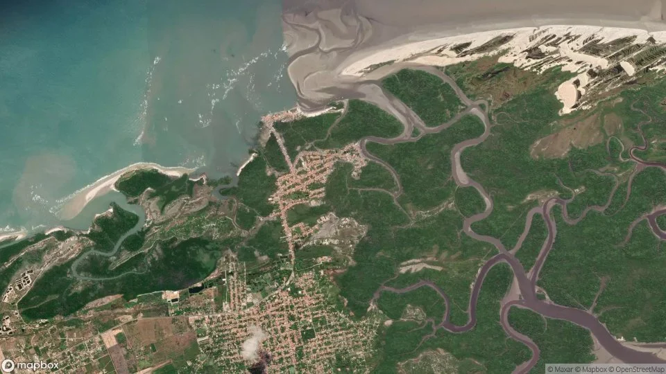 Imagem aérea de raposa