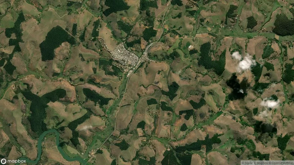 Imagem aérea de laranjal