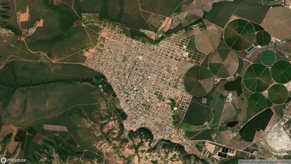 Imagem aérea de taiobeiras