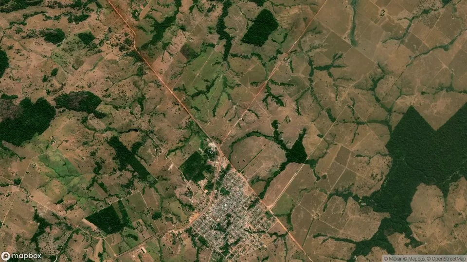 Imagem aérea de castanheira
