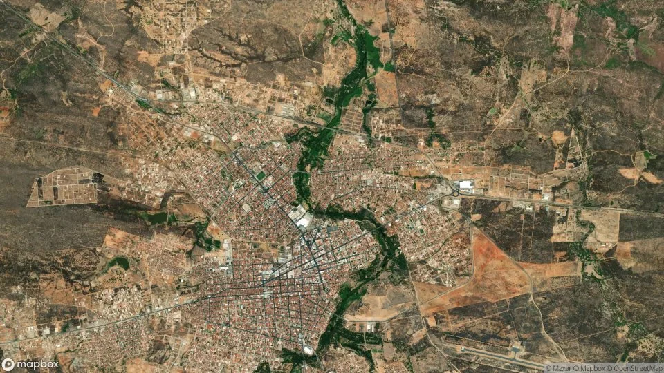 Imagem aérea de patos