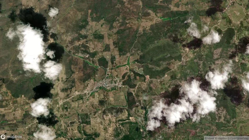 Imagem aérea de umbuzeiro