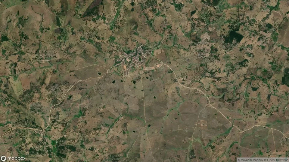 Imagem aérea de palmeirina