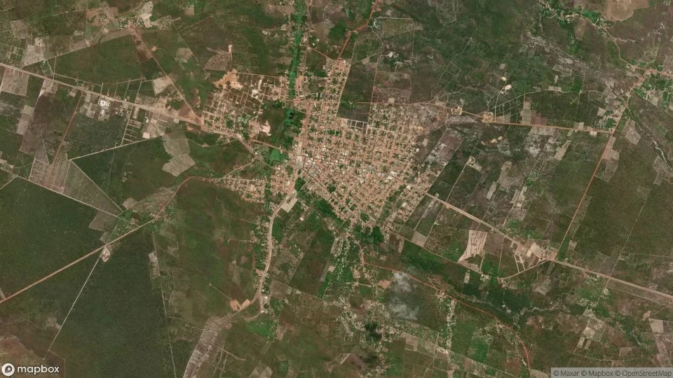 Imagem aérea de cocal