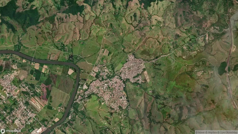 Imagem aérea de quatis
