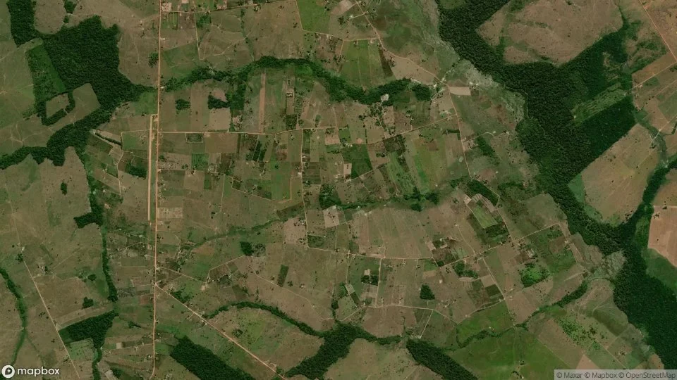 Imagem aérea de seringueiras