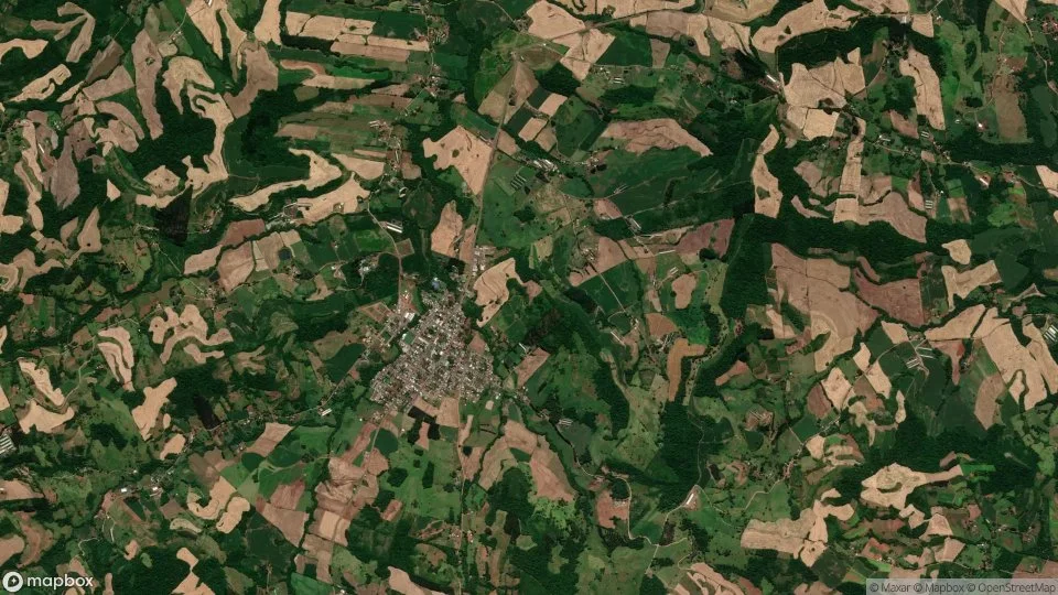 Imagem aérea de pinhal