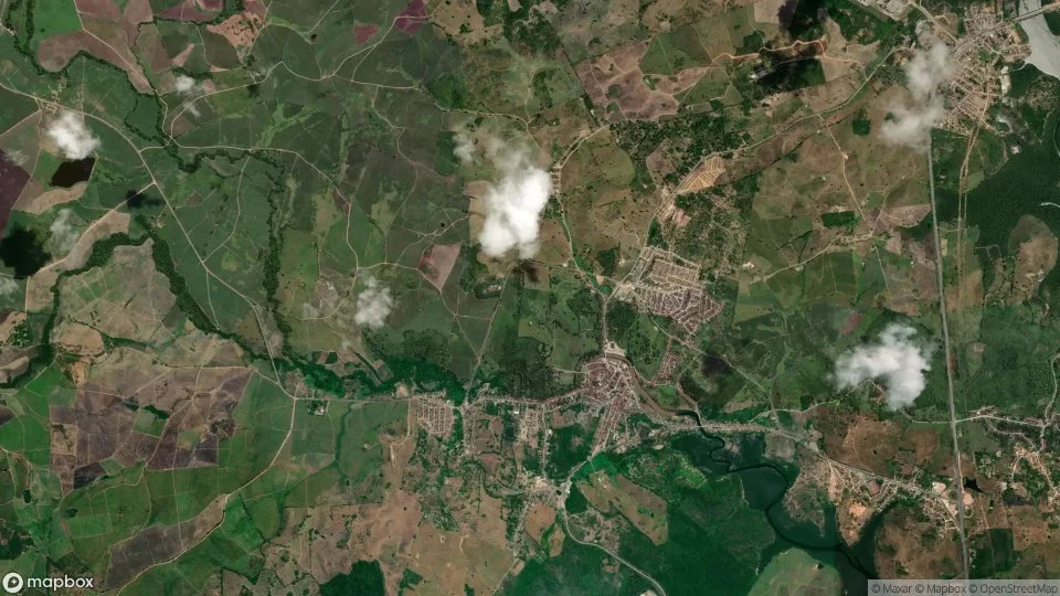 Imagem aérea de laranjeiras