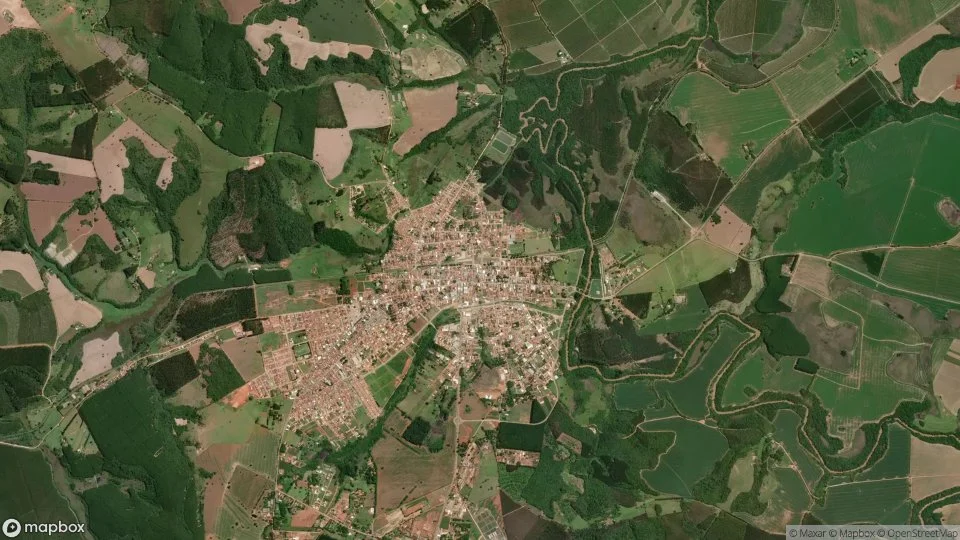 Imagem aérea de buri